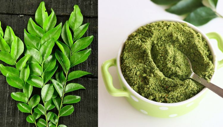 Curry leaves improve- hair growth malayalam