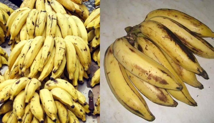 Banana Benefits malayalam news
