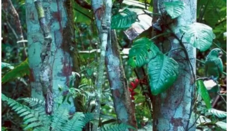 FotoJet-15-1024×666-2