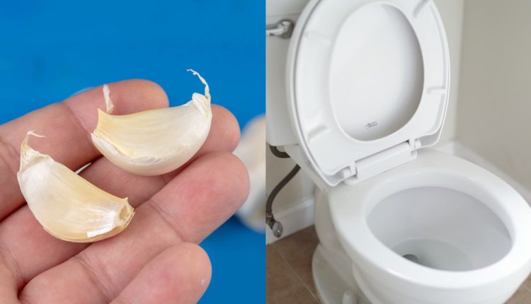 Garlic Toilet Tips in Malayalam