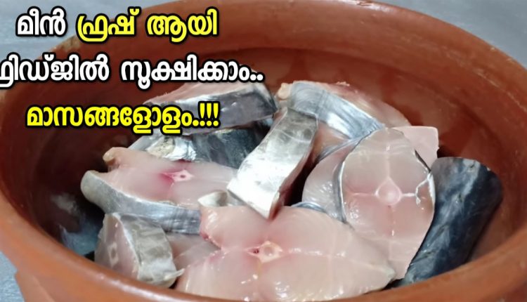 Tip To Store Fish For Long time tip malayalam