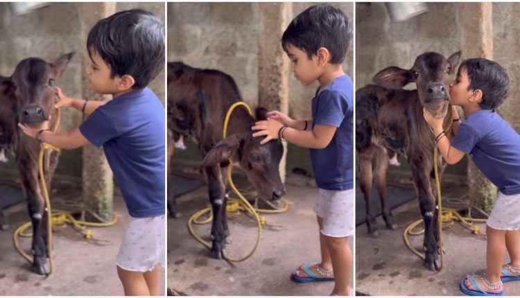 Cute baby with cow viral video malayalam latest