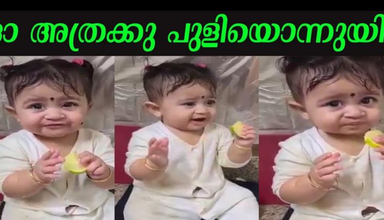 Cute baby girl eating lemon trending video viral