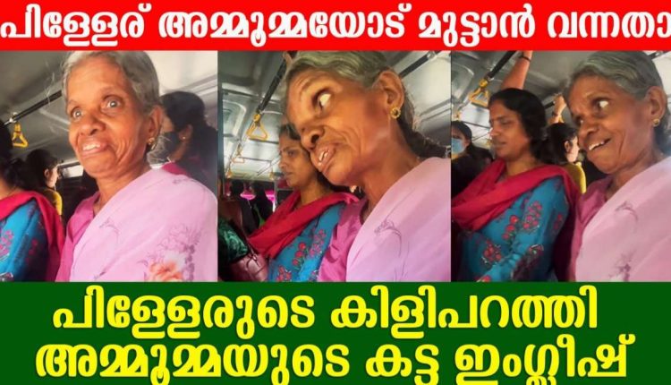 Grand Mother speaking English Video Viral Malayalam
