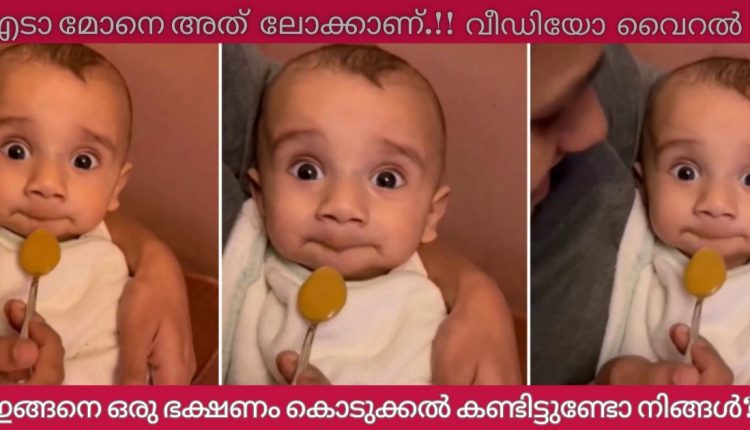 Cute baby feeding video viral entertainment news
