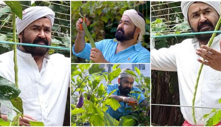 Mohanlal Organic Farming video viral