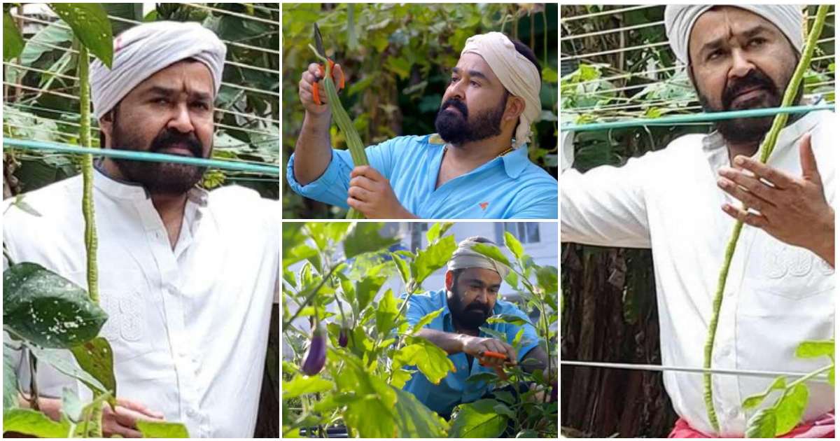 Mohanlal Organic Farming video viral